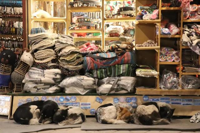 �Ჴ���������˺���Ȼ�Ĺ���