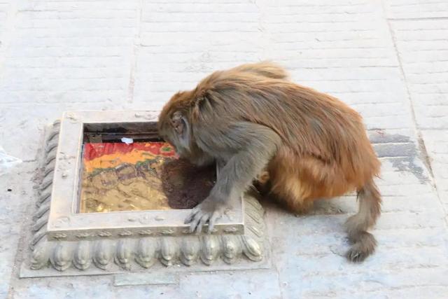 �Ჴ���������˺���Ȼ�Ĺ���