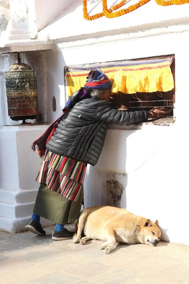 �Ჴ���������˺���Ȼ�Ĺ���