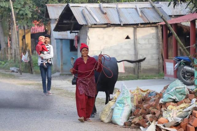 �Ჴ���������˺���Ȼ�Ĺ���