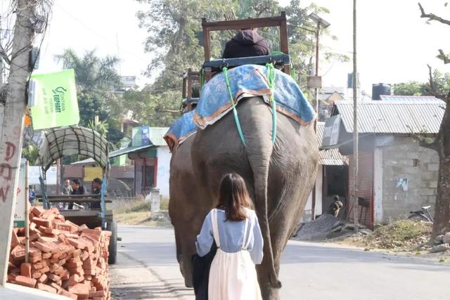 �Ჴ���������˺���Ȼ�Ĺ���