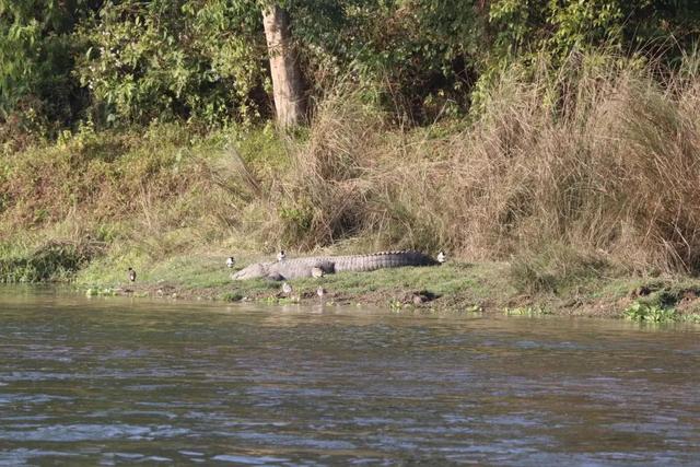 �Ჴ���������˺���Ȼ�Ĺ���