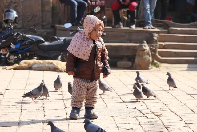 �Ჴ���������˺���Ȼ�Ĺ���