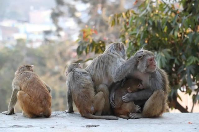 �Ჴ���������˺���Ȼ�Ĺ���