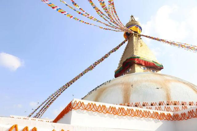 �Ჴ���������˺���Ȼ�Ĺ���