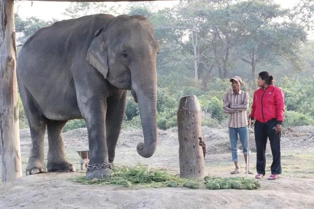 �Ჴ���������˺���Ȼ�Ĺ���