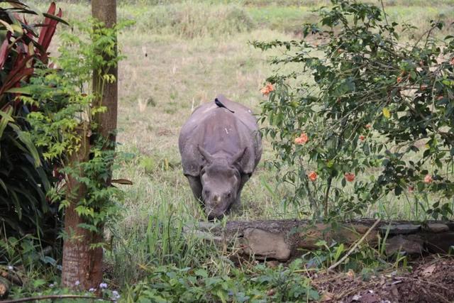 �Ჴ���������˺���Ȼ�Ĺ���