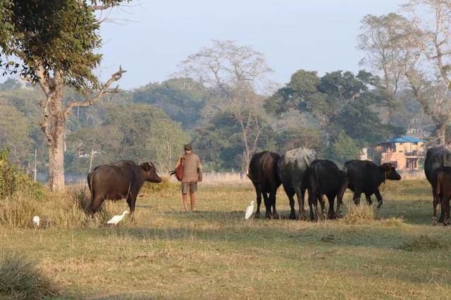 �Ჴ���������˺���Ȼ�Ĺ���