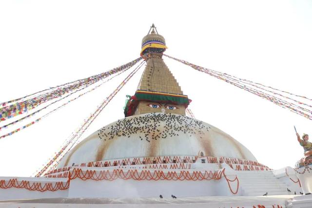 �Ჴ���������˺���Ȼ�Ĺ���