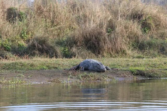 �Ჴ���������˺���Ȼ�Ĺ���