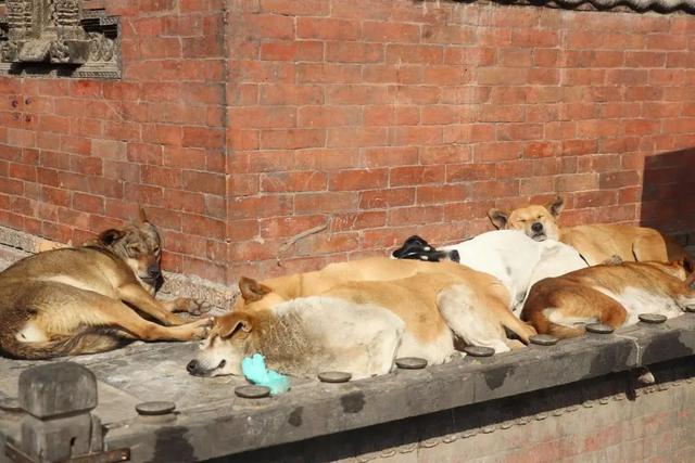 �Ჴ���������˺���Ȼ�Ĺ���