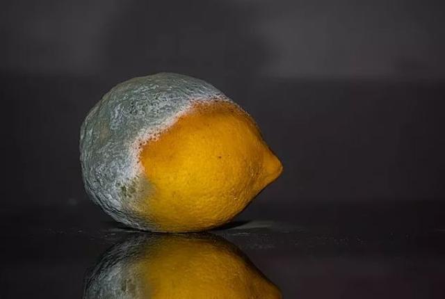 ��������ȴ��������8������ϰ�ߣ���һ���Ϳ����°�