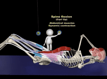 ���񵽸��֣��������ϡ����ԳŴ��׵���