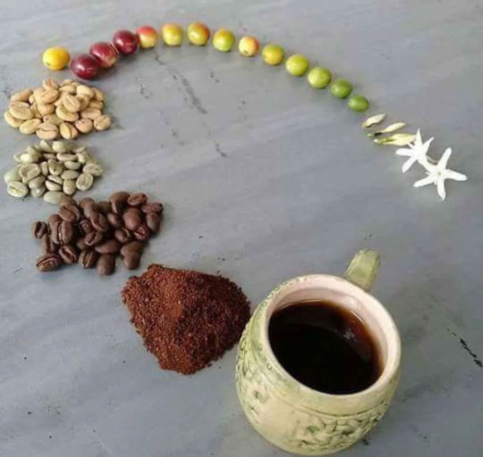 ͼƬ