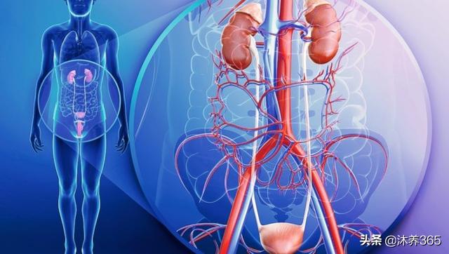 ��ȫ�����ƽ�����������ȷʵ�������ȣ�������ʳ�ɵ���