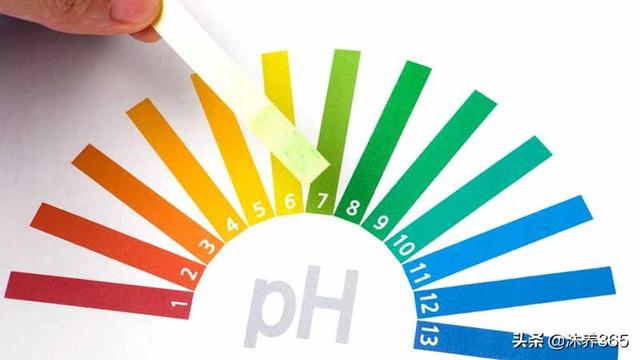 ��ȫ�����ƽ�����������ȷʵ�������ȣ�������ʳ�ɵ���