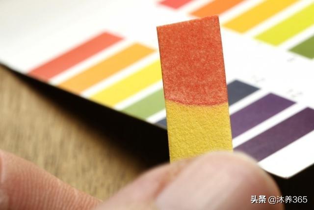 ��ȫ�����ƽ�����������ȷʵ�������ȣ�������ʳ�ɵ���