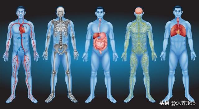 ��ȫ�����ƽ�����������ȷʵ�������ȣ�������ʳ�ɵ���