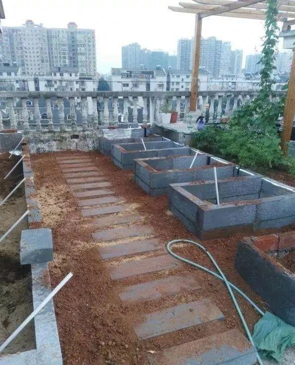100ƽ¥¶̨԰ֲι㣬УԼ