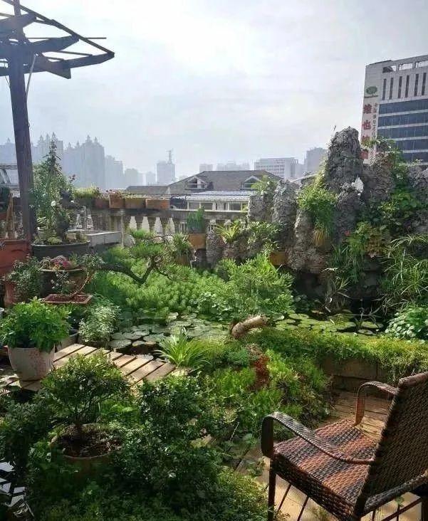 100平顶楼露台花园养花种菜喂鱼大隐于市简约生活