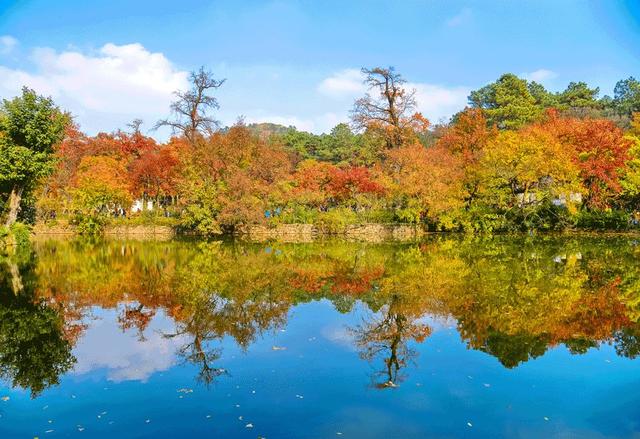 �Բ�����Ҫȥ������