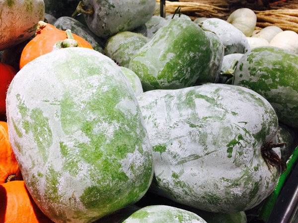 黑色素是决定我们皮肤颜色的关键,如果你爱吃这些蔬菜,那就有福 黑色素是决定我们皮肤颜色的关键,如果你爱吃这些蔬菜,那就有福