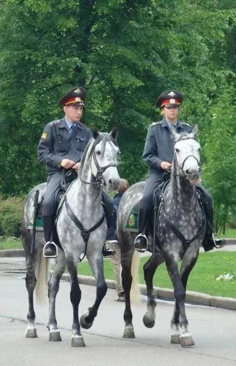 ����������ʵ�Ķ���˹