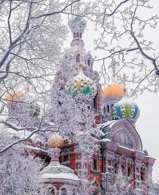 ����������ʵ�Ķ���˹