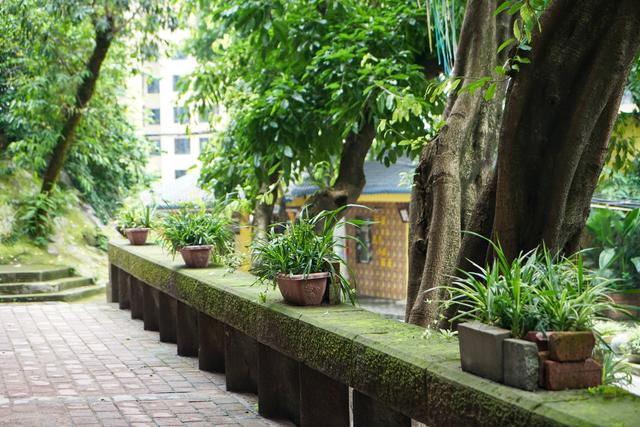 ����80����Ͻ�����Ϳѻ�壬��������200Ԫ��ס���ο���Ѵ�