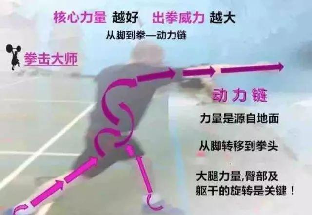 ȭ���������Ϊʲô��ȭҪ����˻˻�����ɻ���