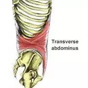 ȭ���������Ϊʲô��ȭҪ����˻˻�����ɻ���