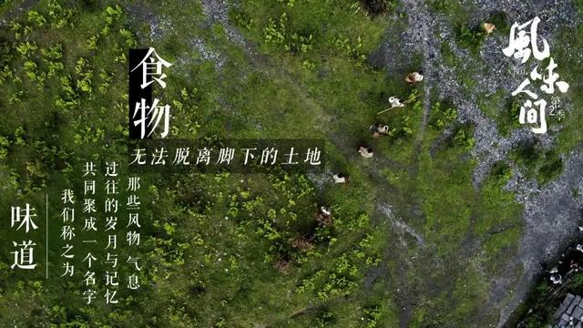 56�������Ķ����İ�