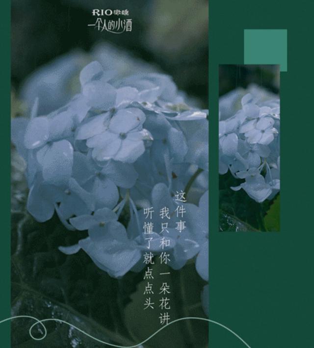 56�������Ķ����İ�