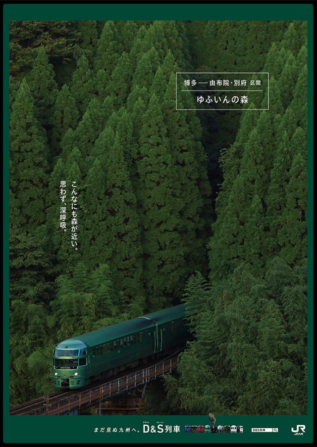 56�������Ķ����İ�