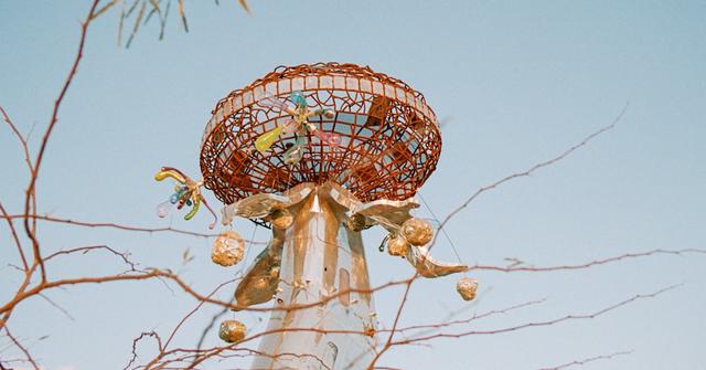 56�������Ķ����İ�