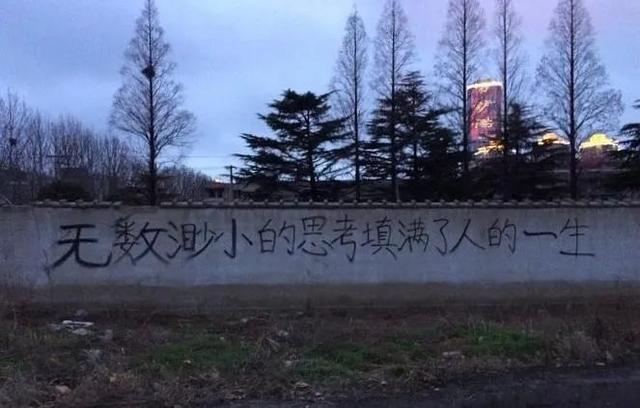 56�������Ķ����İ�