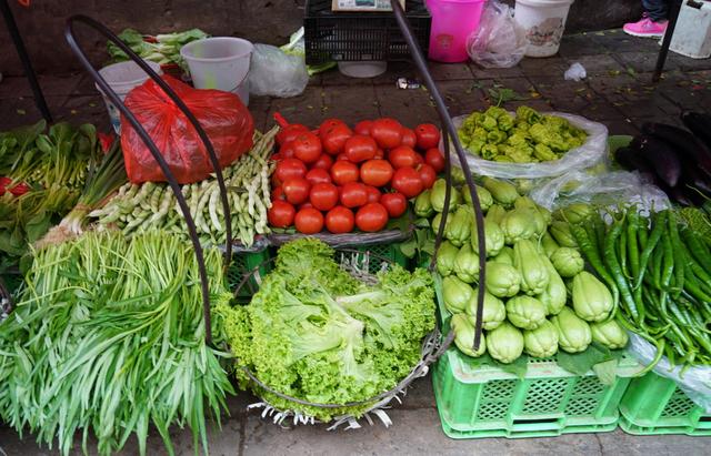 ���߲˰ڷ�̫���ˣ�ũ��Ҳ��ɫ�ʣ���ˮ��������ѧ�㶮��