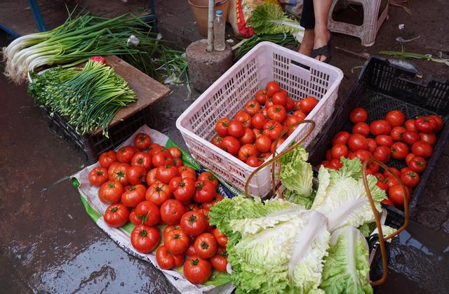 ���߲˰ڷ�̫���ˣ�ũ��Ҳ��ɫ�ʣ���ˮ��������ѧ�㶮��