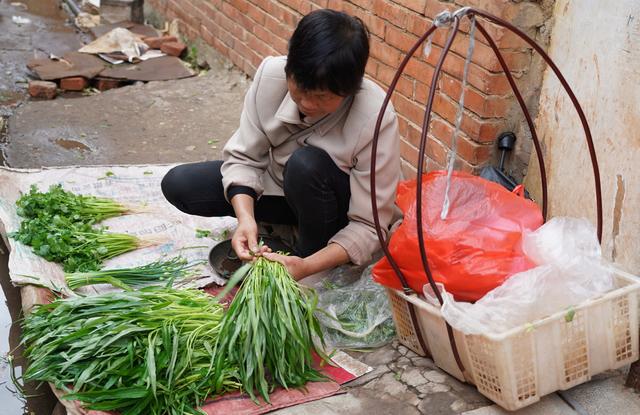 ���߲˰ڷ�̫���ˣ�ũ��Ҳ��ɫ�ʣ���ˮ��������ѧ�㶮��