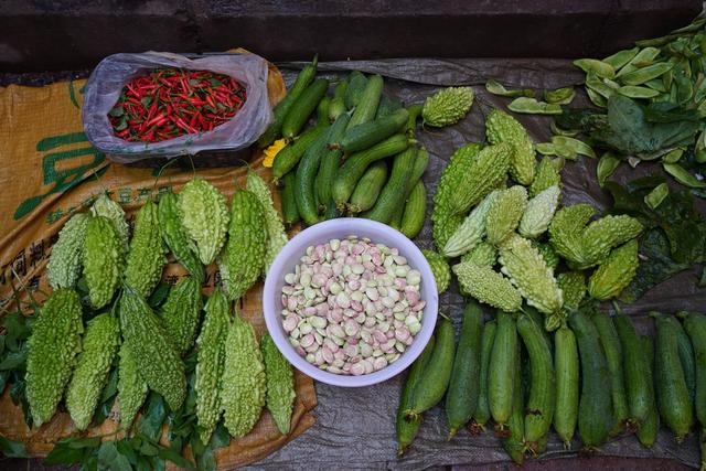 ���߲˰ڷ�̫���ˣ�ũ��Ҳ��ɫ�ʣ���ˮ��������ѧ�㶮��