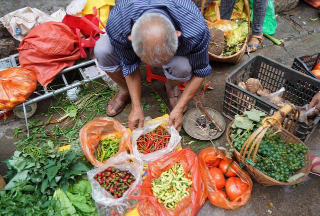 ���߲˰ڷ�̫���ˣ�ũ��Ҳ��ɫ�ʣ���ˮ��������ѧ�㶮��