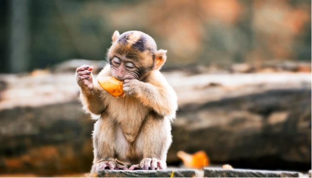 Ϊ�˲��������ѣ�ˮ���ж�Ŭ����