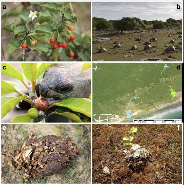 Ϊ�˲��������ѣ�ˮ���ж�Ŭ����