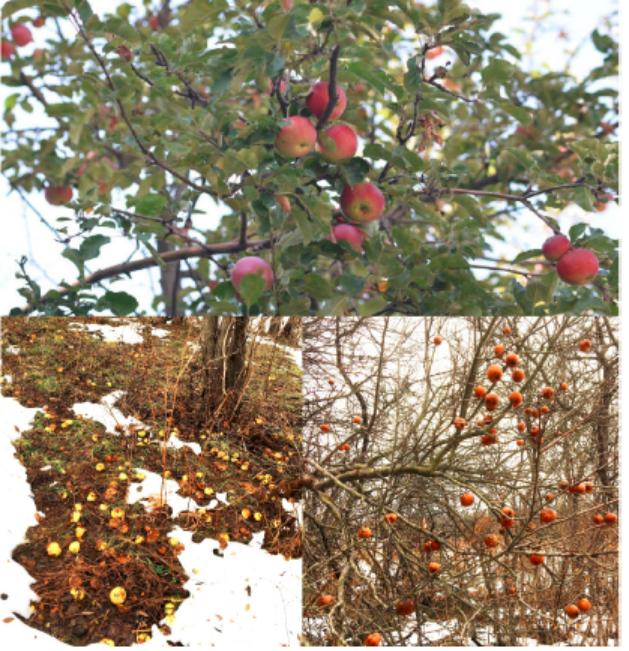 Ϊ�˲��������ѣ�ˮ���ж�Ŭ����