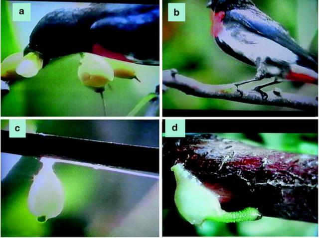 Ϊ�˲��������ѣ�ˮ���ж�Ŭ����