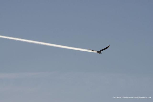 �����Ӱ��Ұ������ϲ�������Ƭ��չʾ�����ж໬��