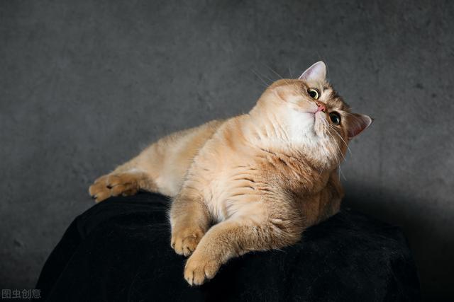 ΪʲôȨ���������йأ�Ȩ������ά����