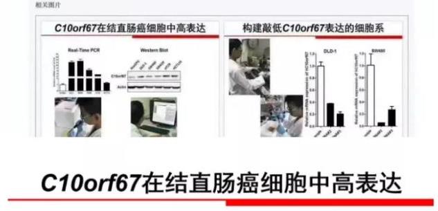 ΪʲôȨ���������йأ�Ȩ������ά����