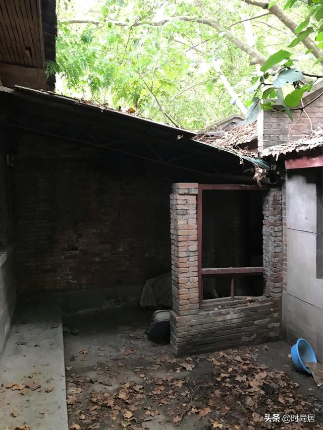 50����Ϸ�ͥԺ���죺��ʱ�ĸ���СԺ�ӵ��ɱ䣬��������ÿ���