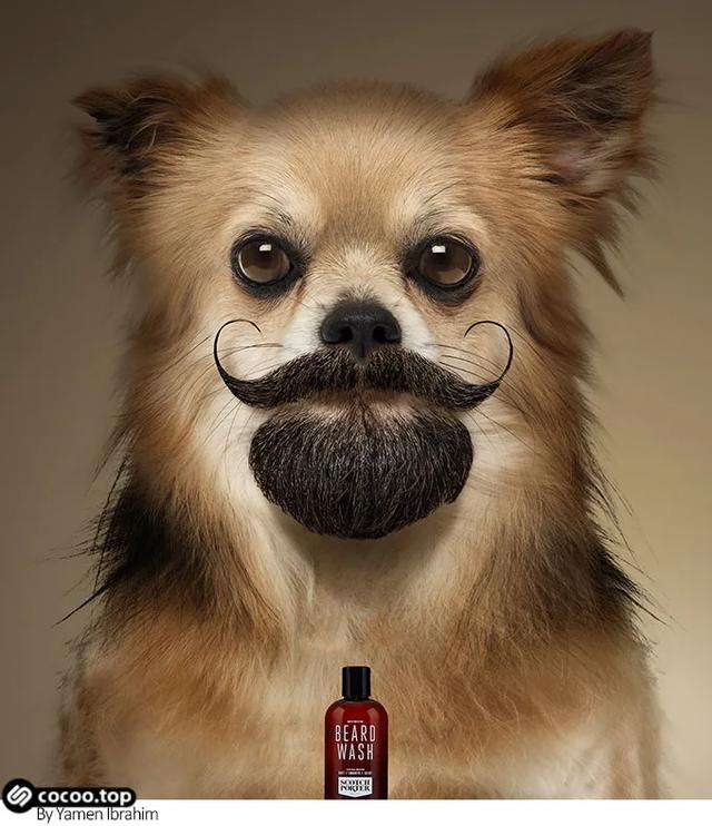 ���ͼ��̫�������Ĭ����һ��